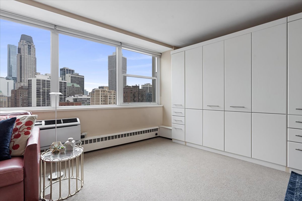 1150 N Lake Shore Drive 18j Property Photo 6