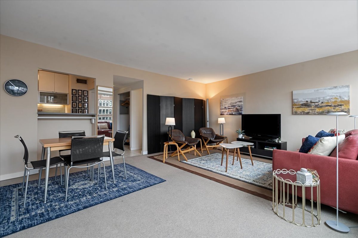 1150 N Lake Shore Drive 18j Property Photo 9