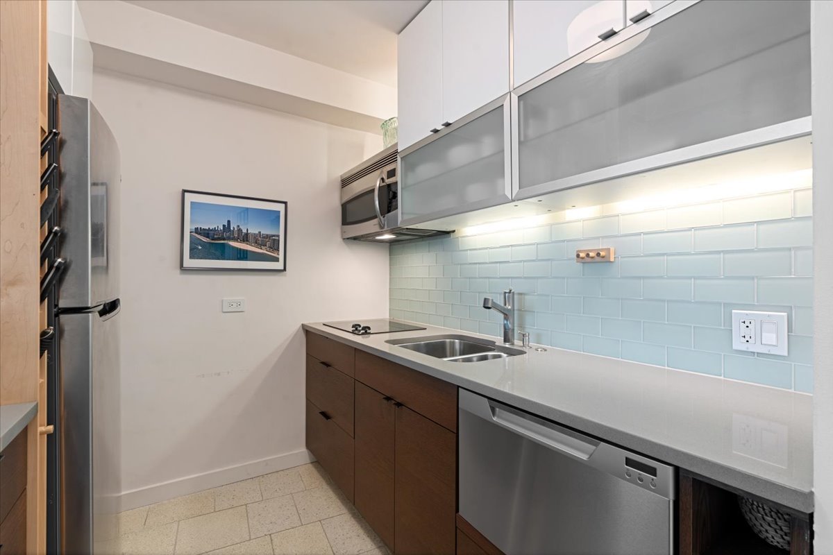 1150 N Lake Shore Drive 18j Property Photo 10