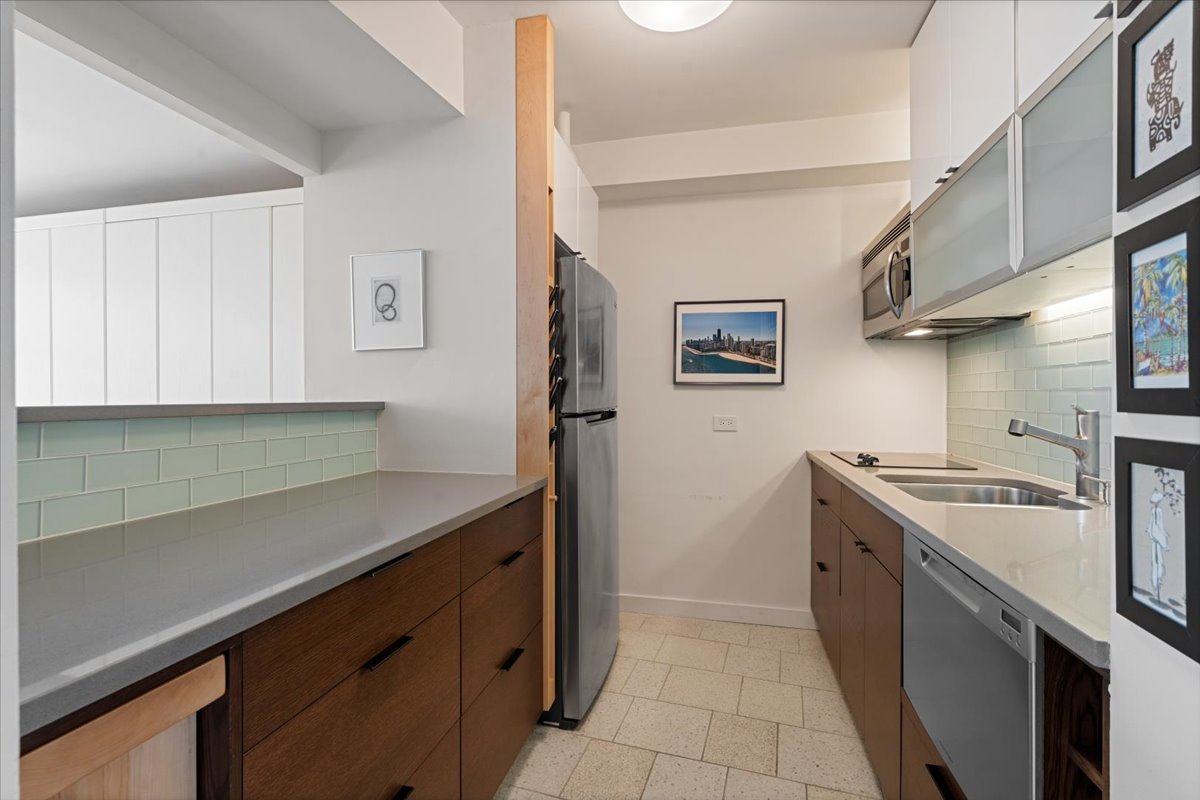 1150 N Lake Shore Drive 18j Property Photo 11