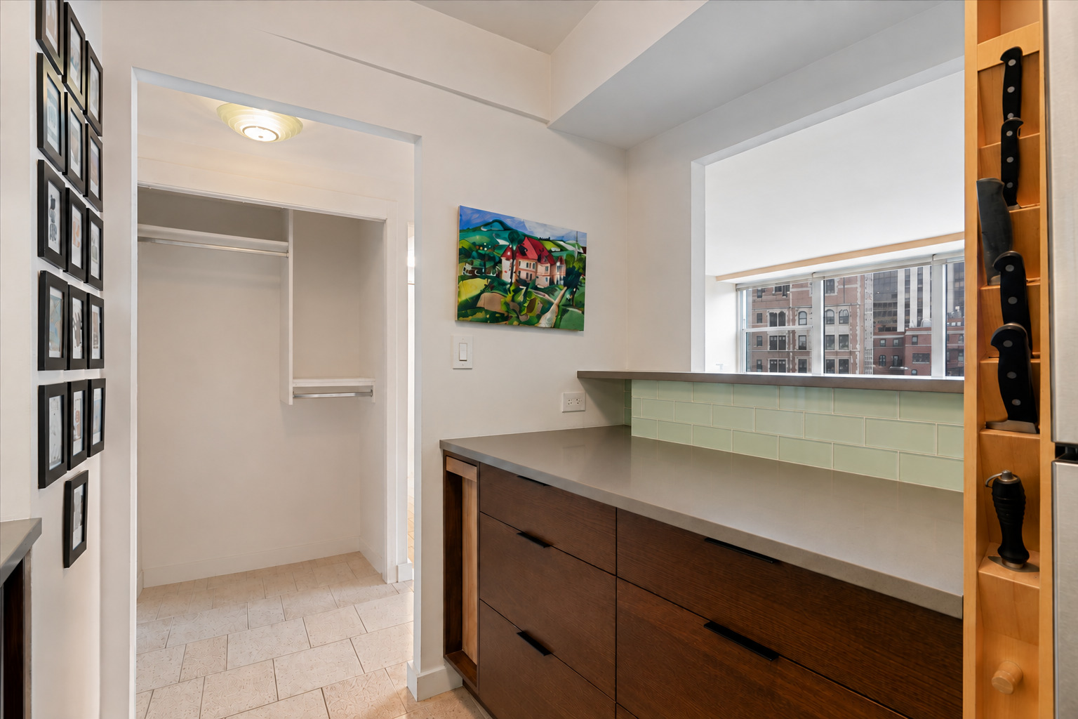 1150 N Lake Shore Drive 18j Property Photo 12