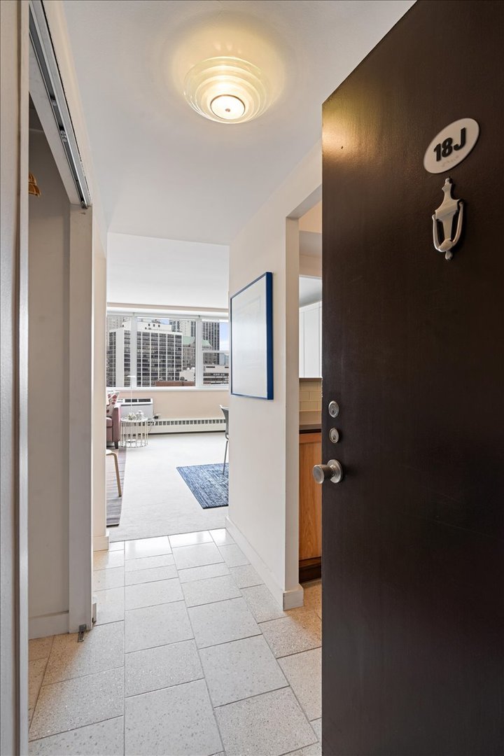 1150 N Lake Shore Drive 18j Property Photo 16