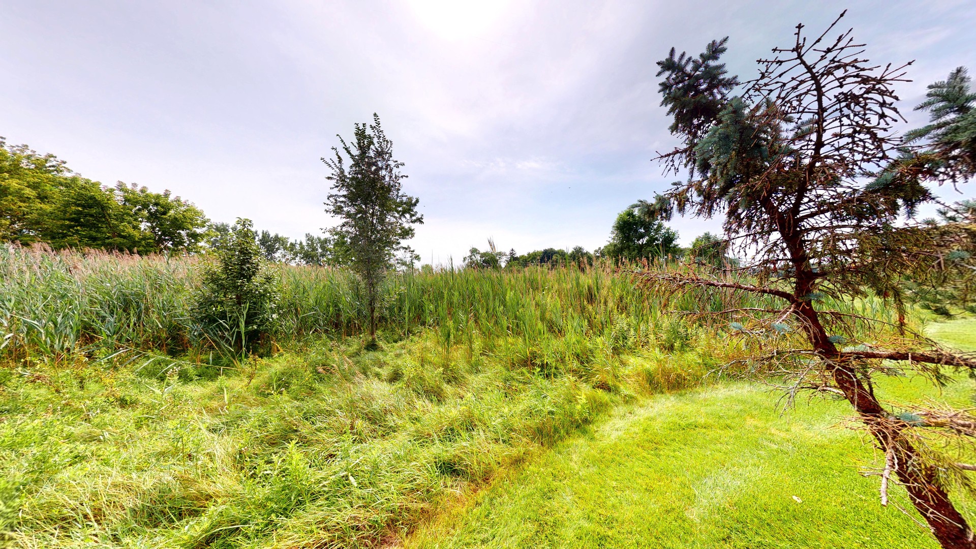 1667 Station Park Drive Property Photo 21