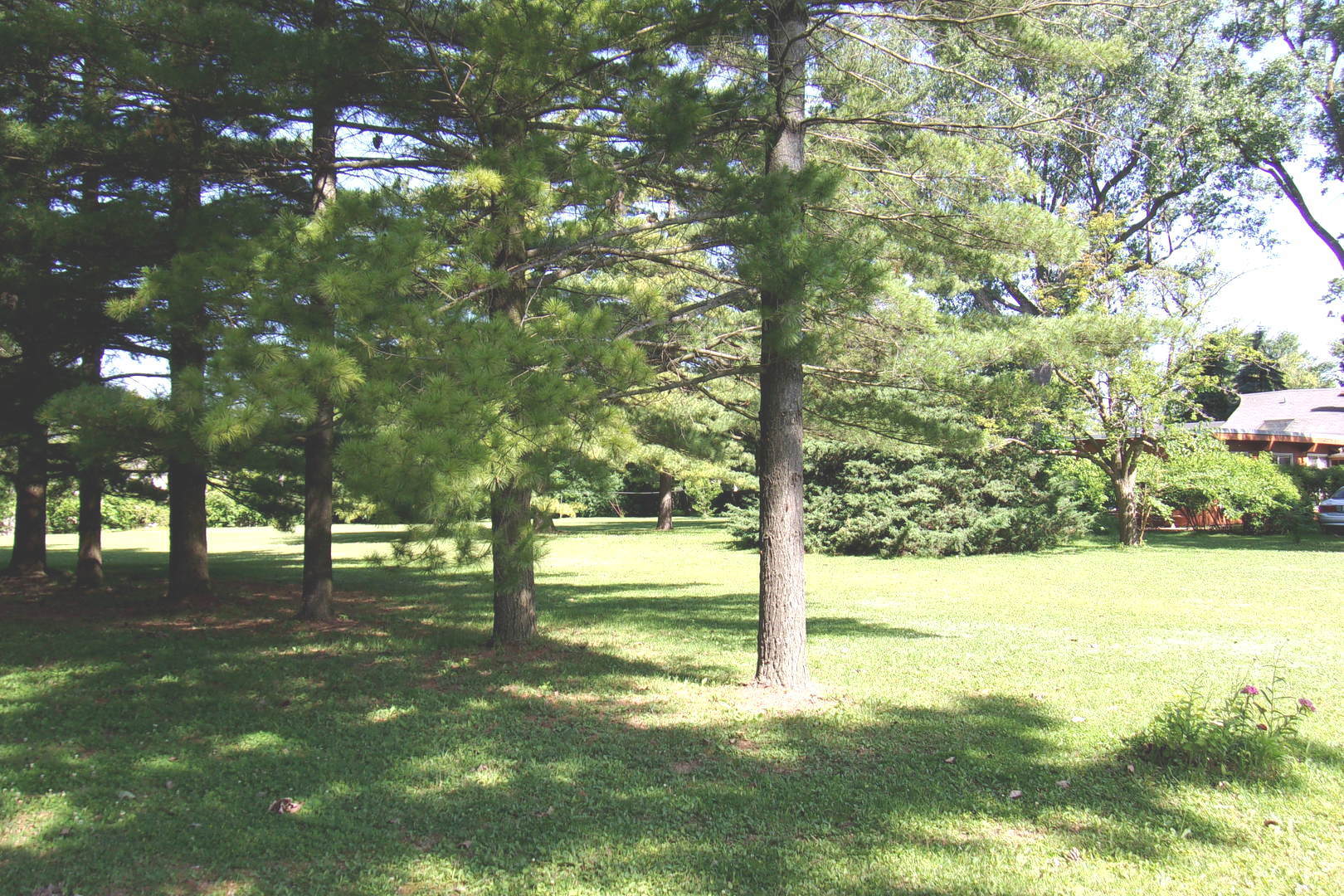 3190 Landwehr Road Property Photo 16