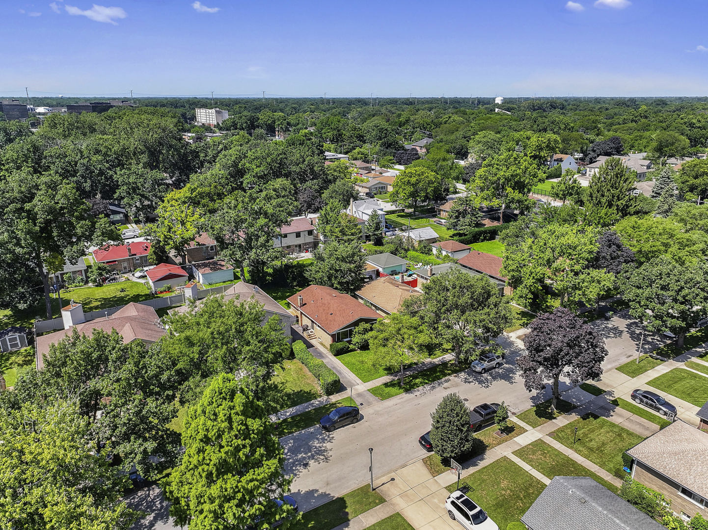 10042 Lamon Avenue Property Photo 36