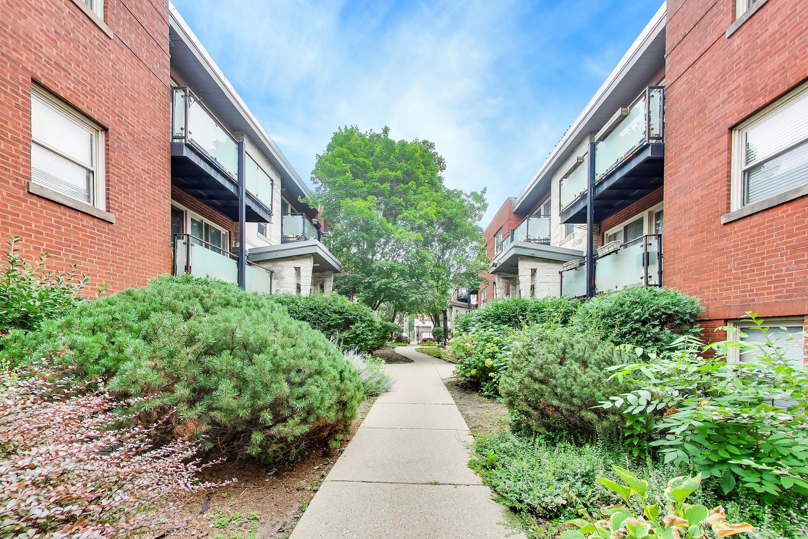 7533 N Damen Avenue R1 Property Photo 6