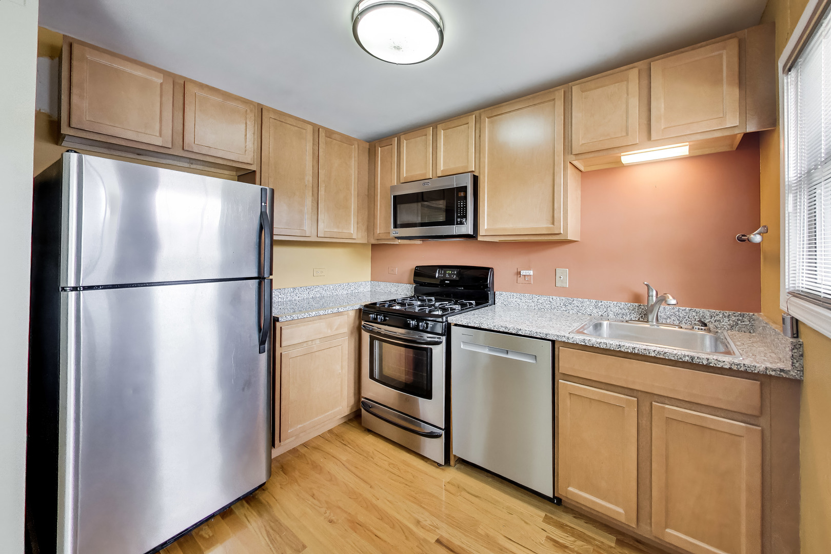 7533 N Damen Avenue R1 Property Photo 19