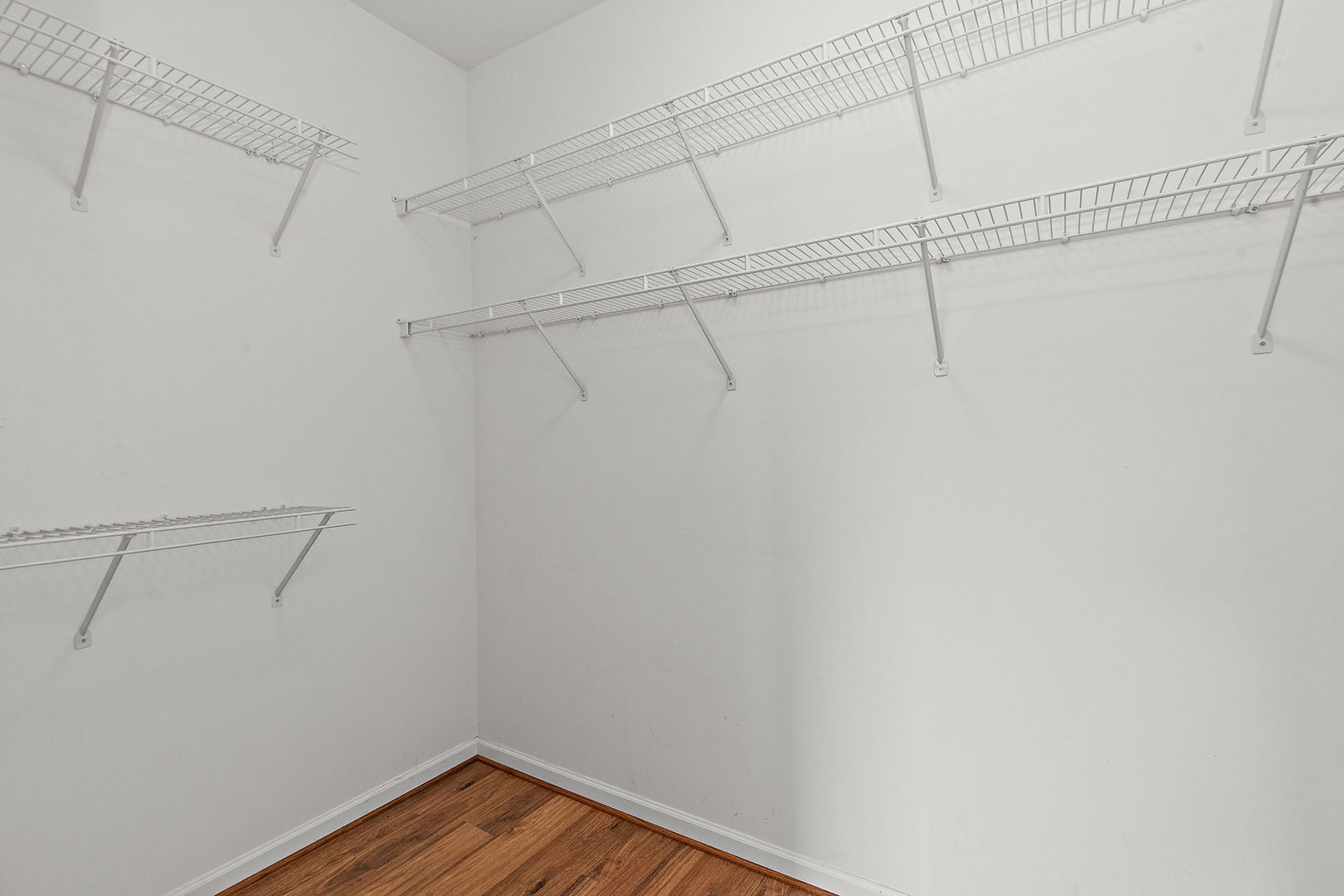 11936 Tuliptree Lane Property Photo 15