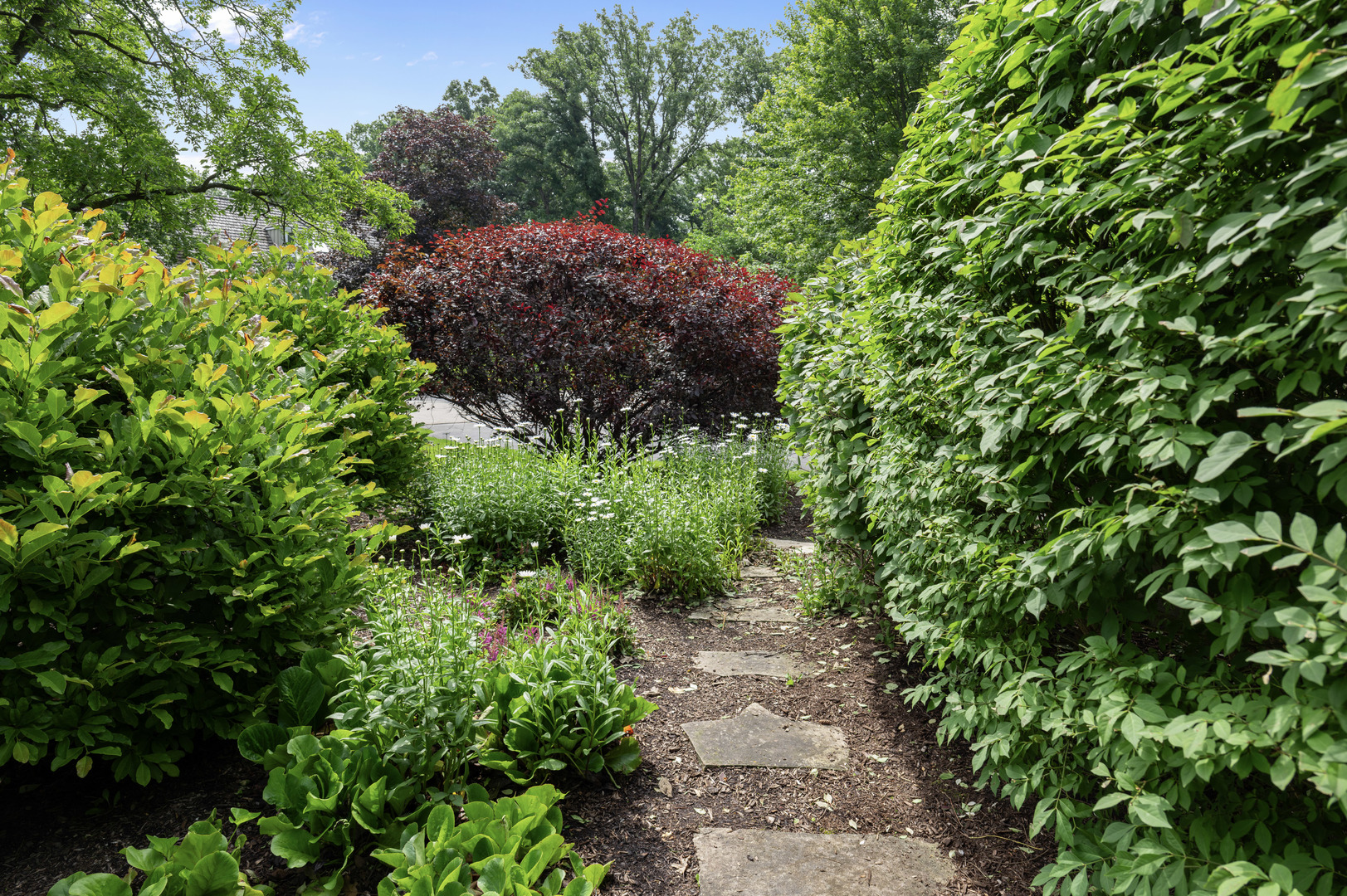 6 Deer Run Property Photo 43