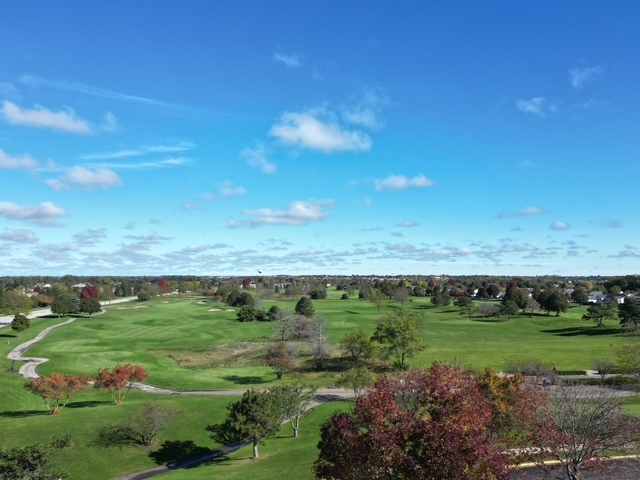 13041 Bull Ridge Drive Property Photo 19