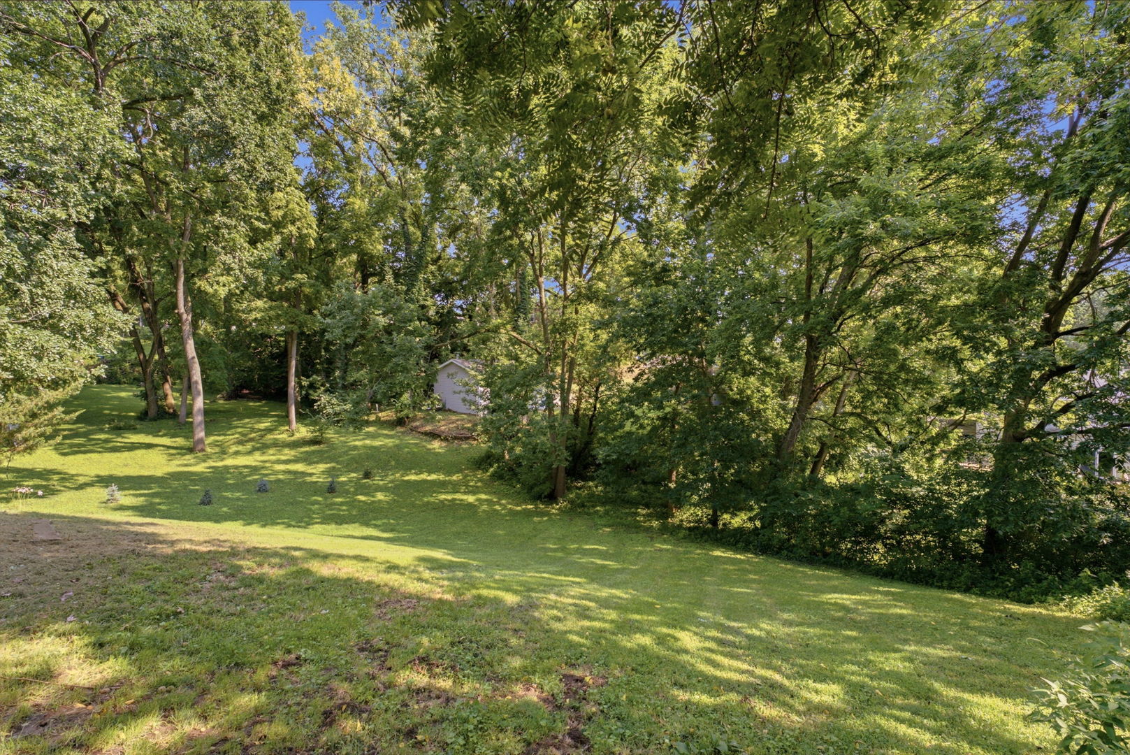401 Walnut Street Property Photo 22