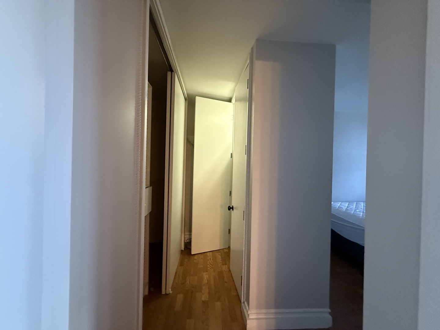 400 E Randolph Street 3302 Property Photo 10