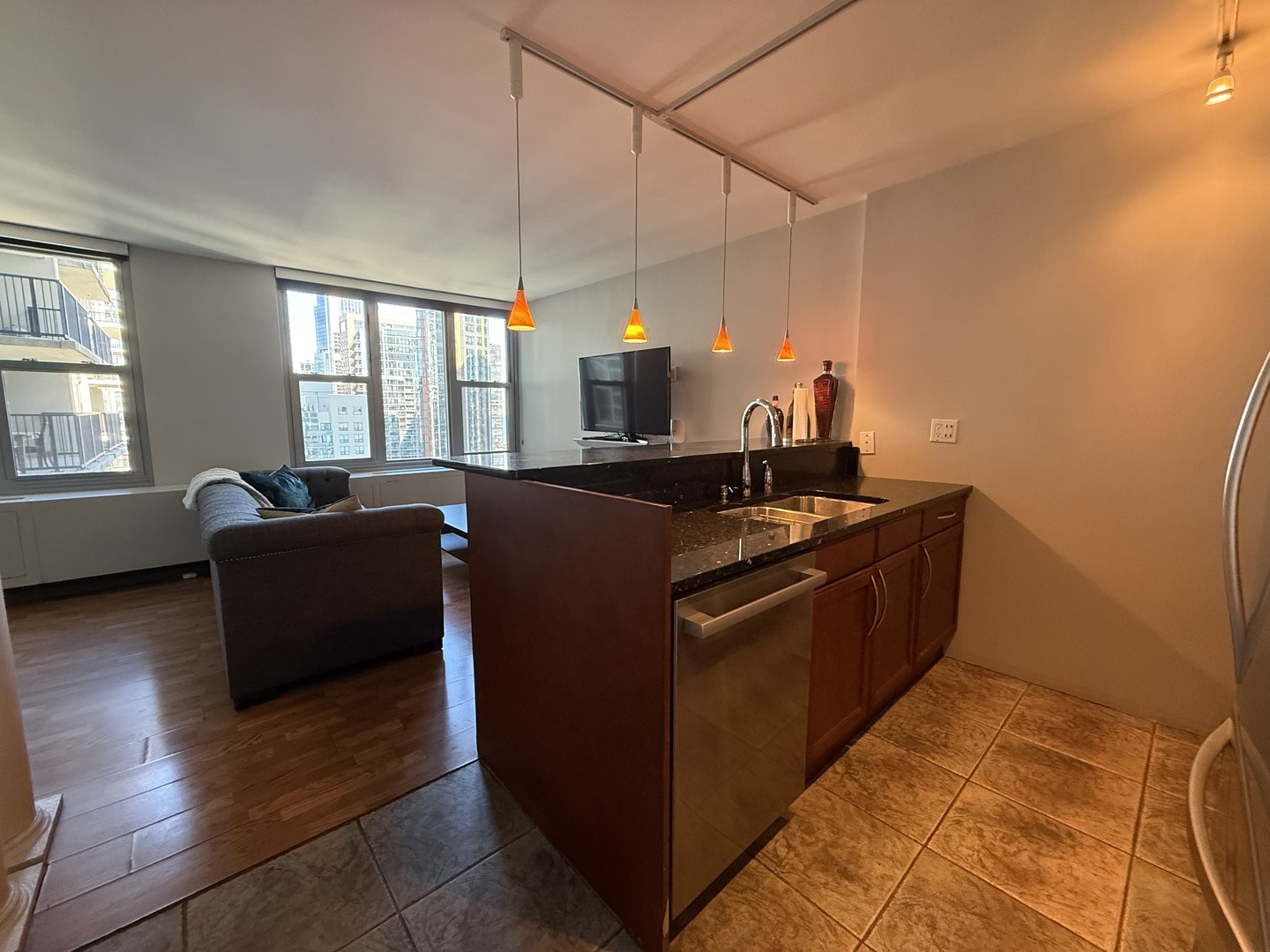 400 E Randolph Street 3302 Property Photo 18