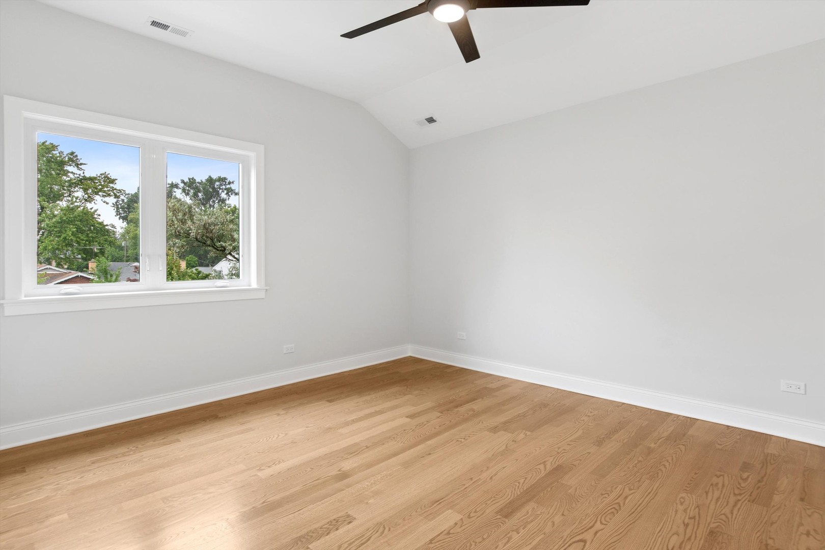 354 Lionel Road Property Photo 26
