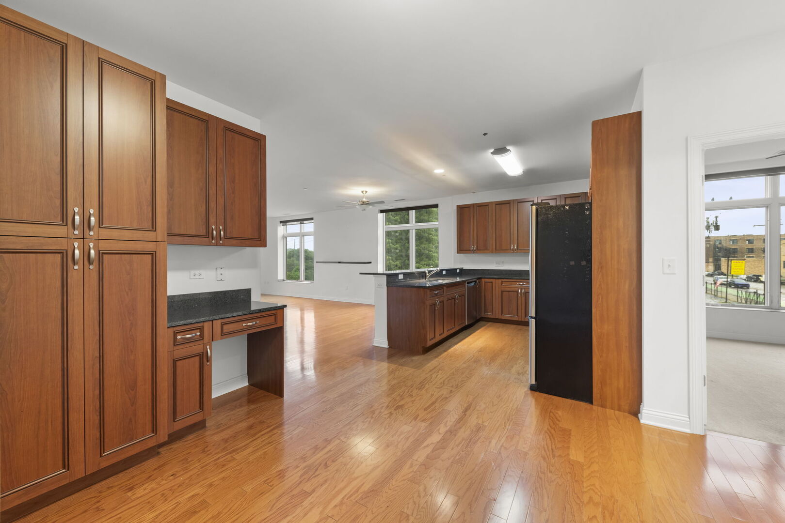 160 S River Street 215 Property Photo 6