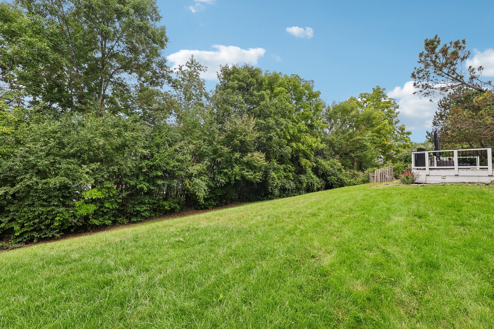 18106 W Hampshire Drive Property Photo 38