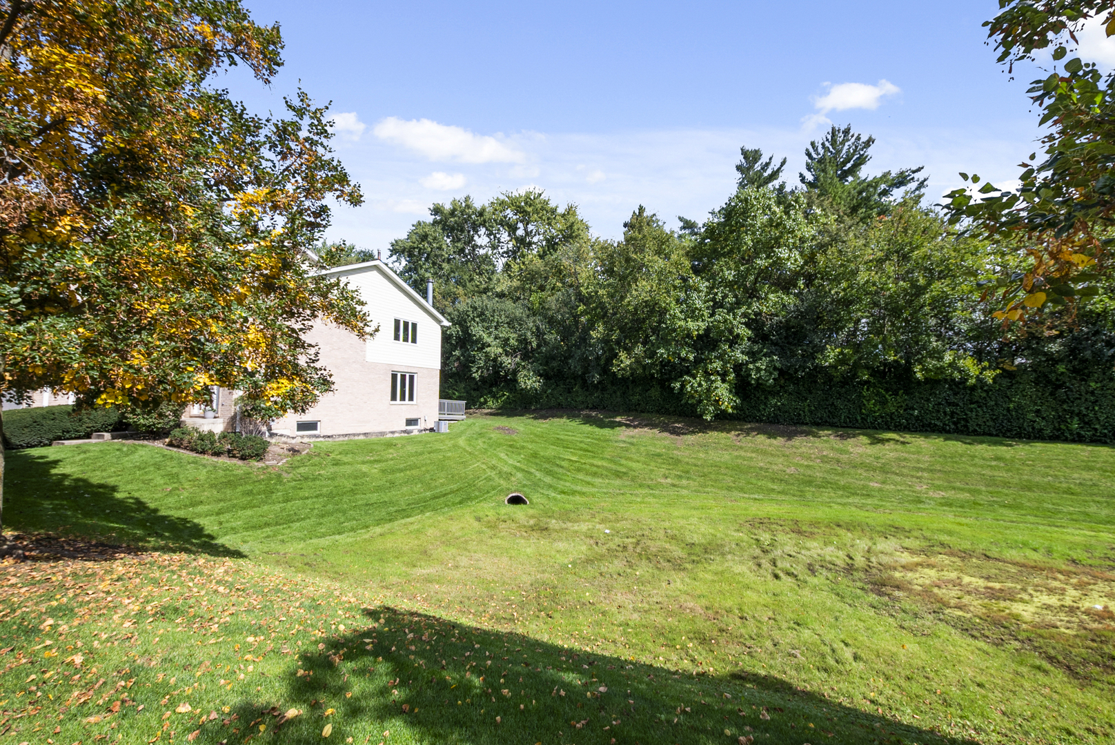 17715 Mayher Drive Property Photo 4