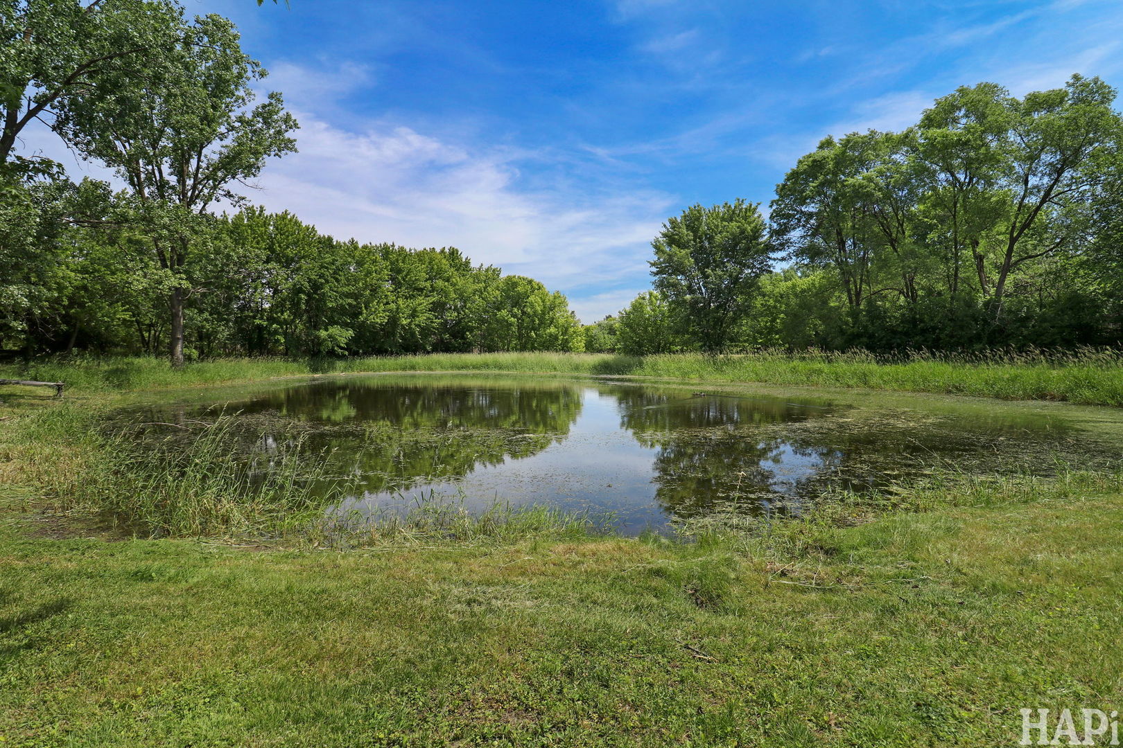 11012 Lucas Road Property Photo 42