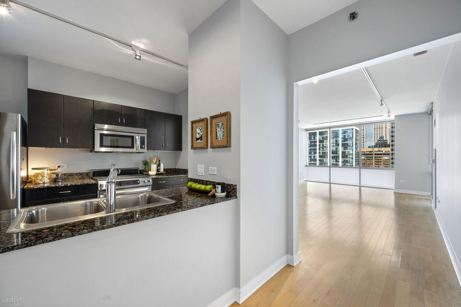 8 E Randolph Street 3202 Property Photo 3