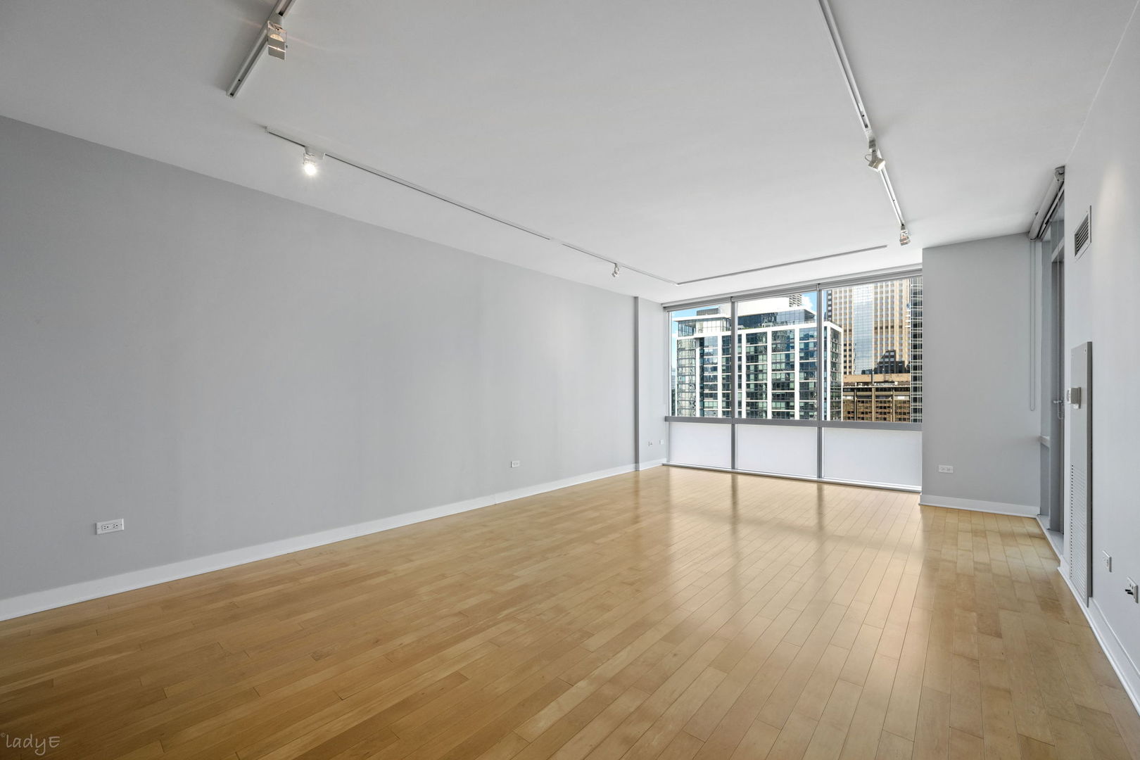 8 E Randolph Street 3202 Property Photo 5