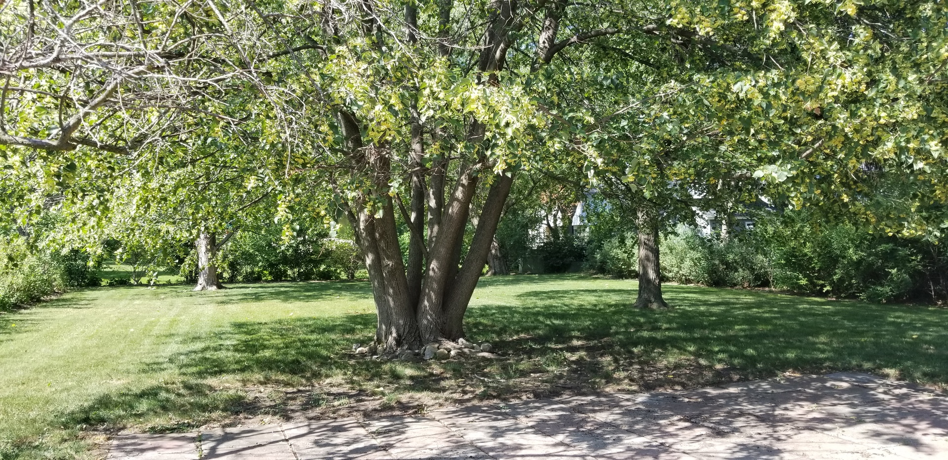 3402 Winnetka Road Property Photo 18