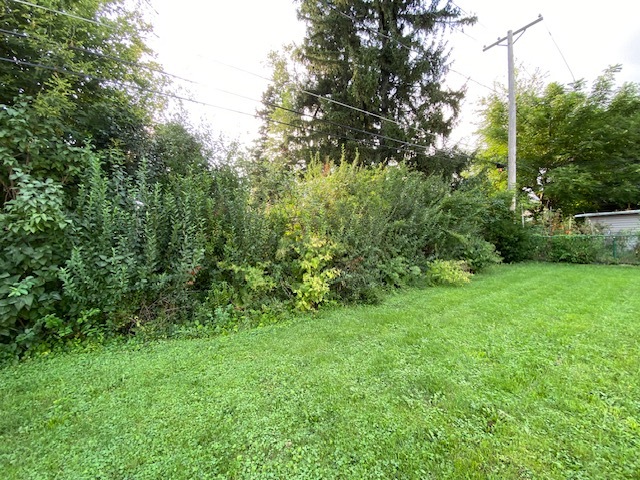 424 N Elmwood Avenue Property Photo 13