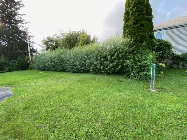 424 N Elmwood Avenue Property Photo 14