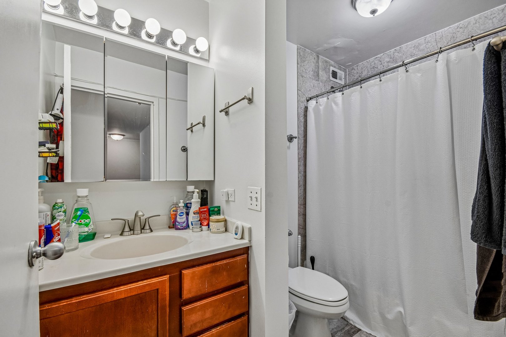 222 E Pearson Street 1006 Property Photo 8