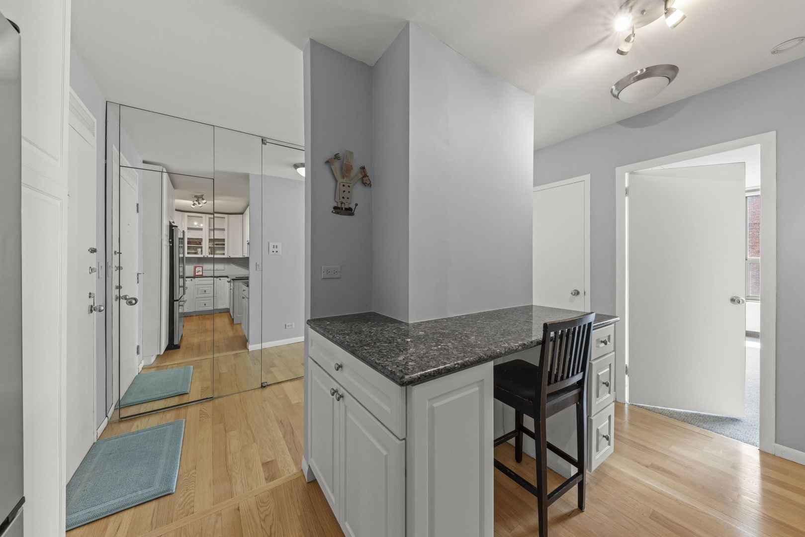 1550 N Lake Shore Drive 17b Property Photo 8