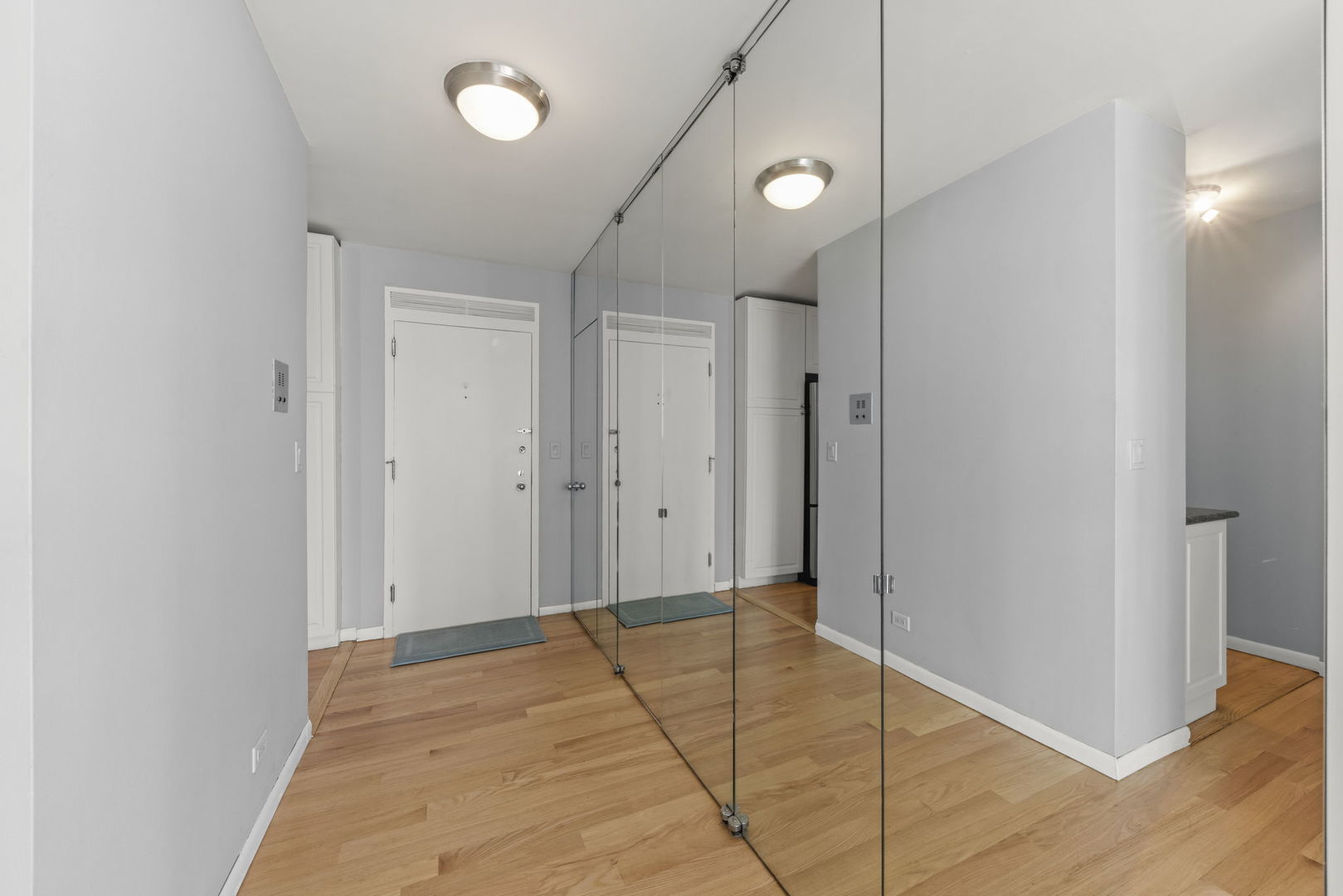 1550 N Lake Shore Drive 17b Property Photo 25
