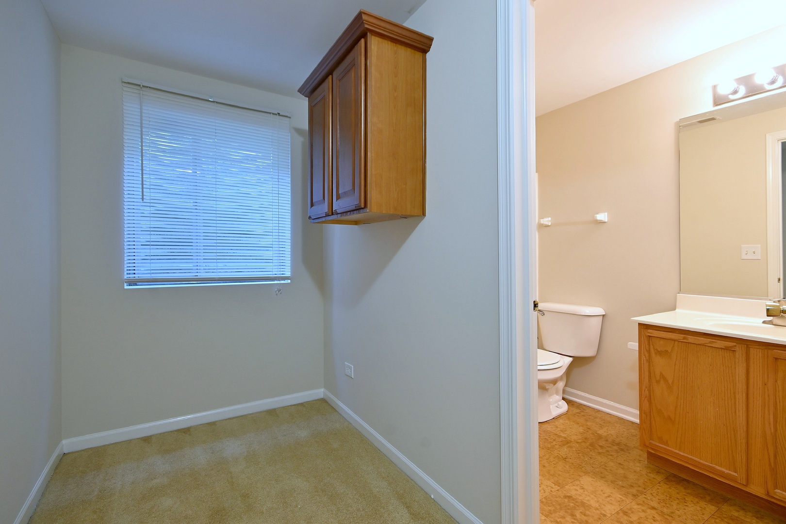 11819 Wolf Creek Lane Property Photo 51