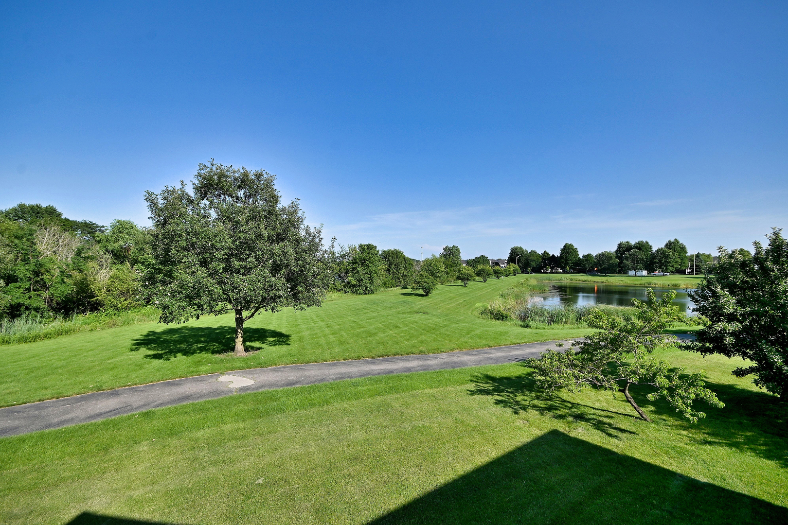 11819 Wolf Creek Lane Property Photo 52