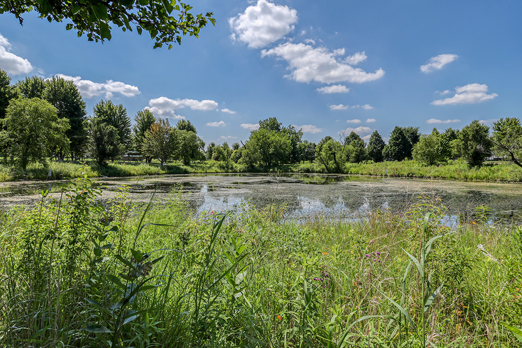 18106 Waterside Circle Property Photo 33
