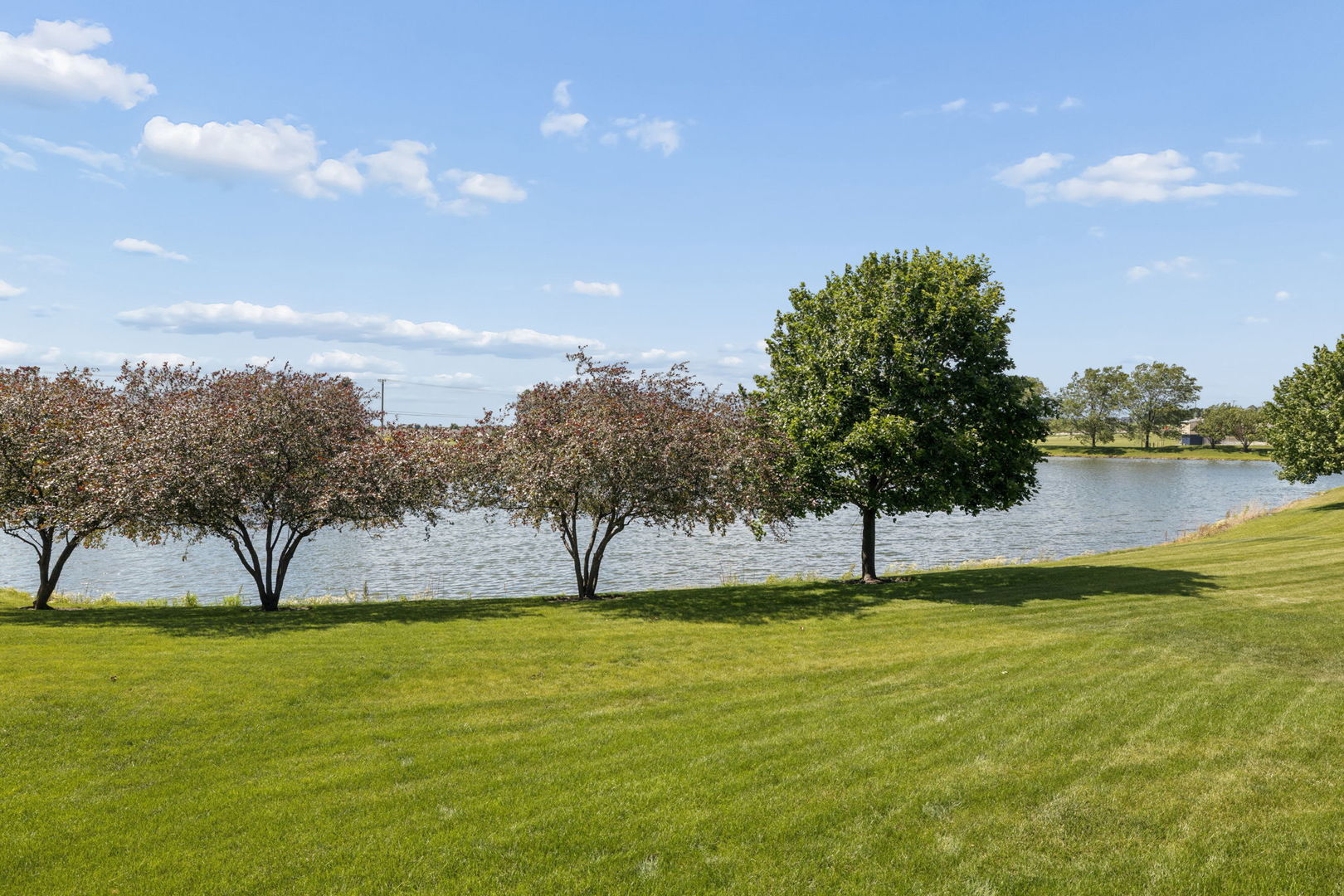 1905 Springside Drive Property Photo 35