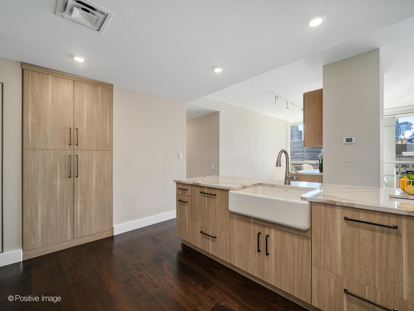 250 E Pearson Street 1903 Property Photo 11