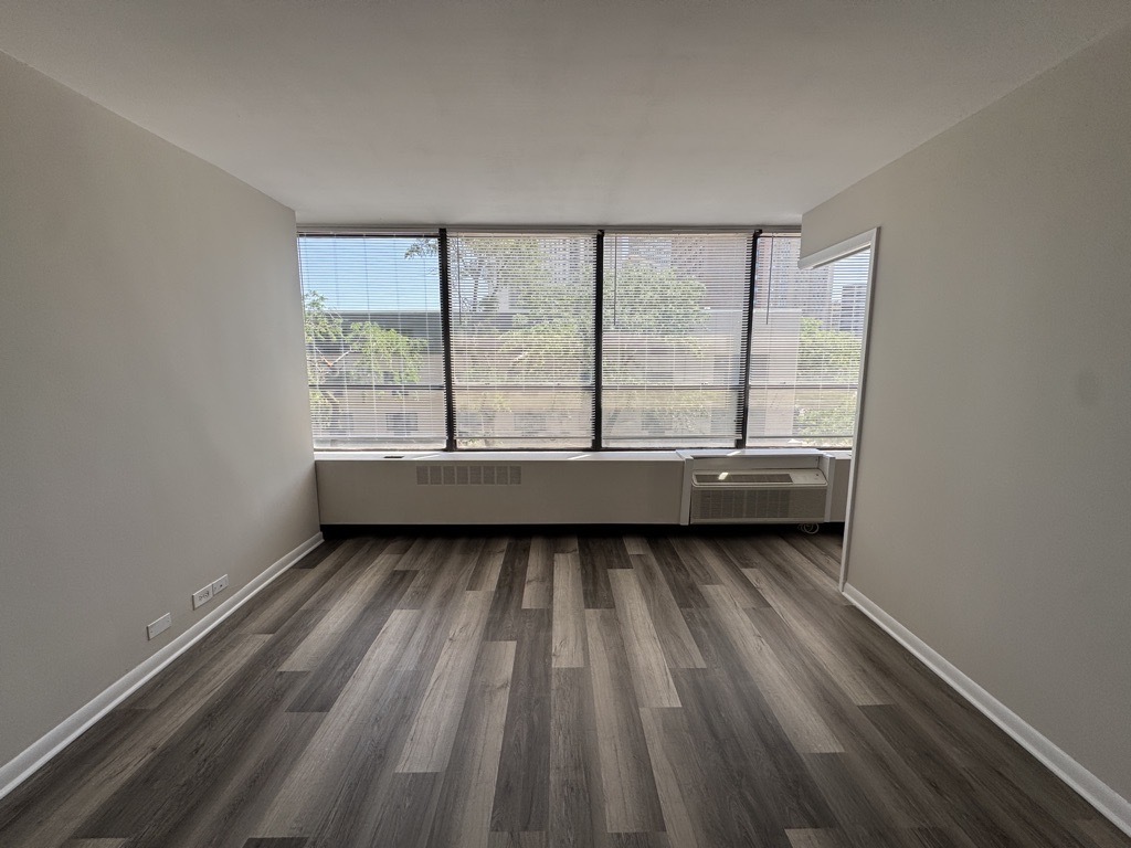 4800 S Chicago Beach Drive 308s Property Photo 6