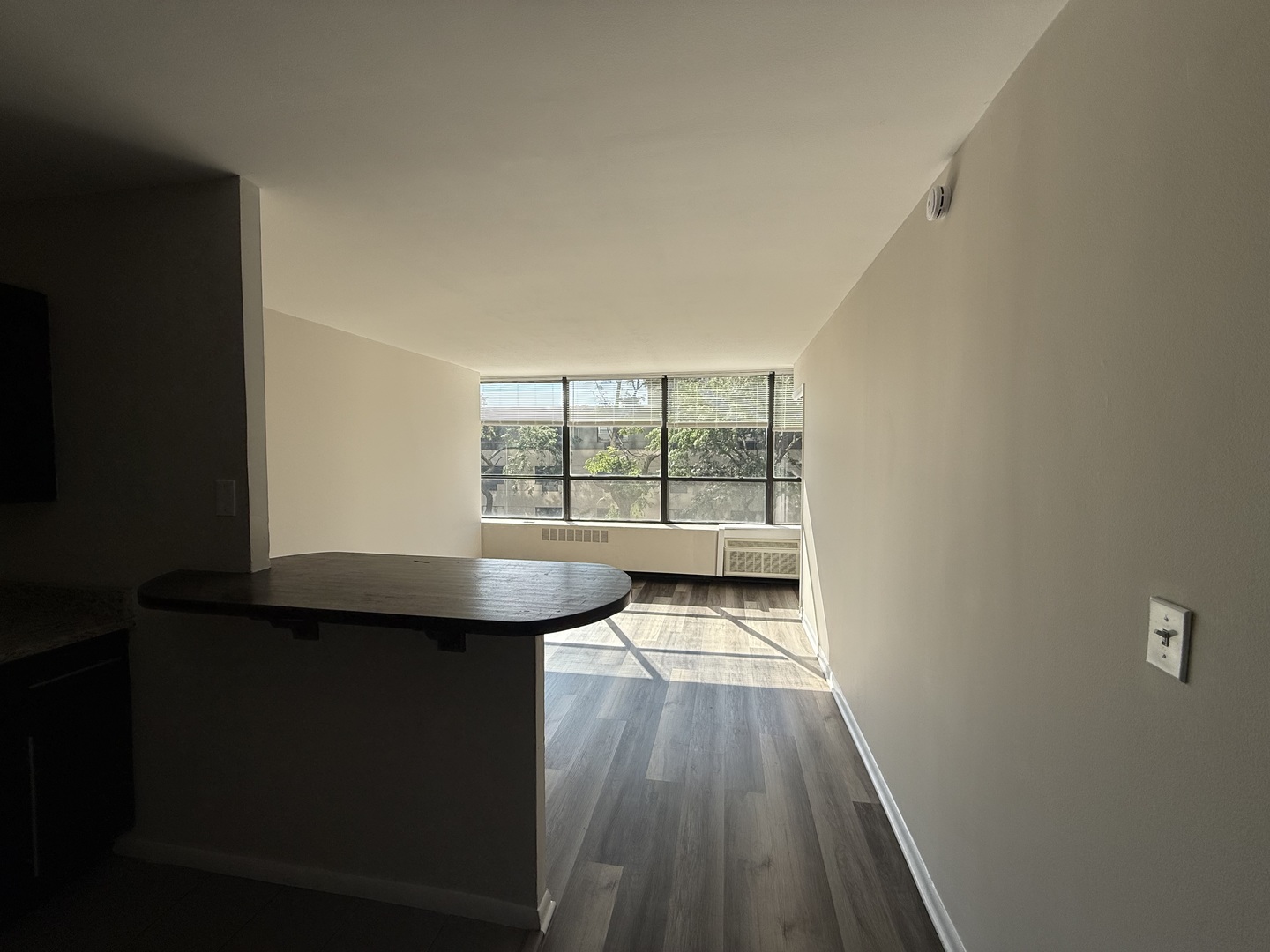 4800 S Chicago Beach Drive 308s Property Photo 9
