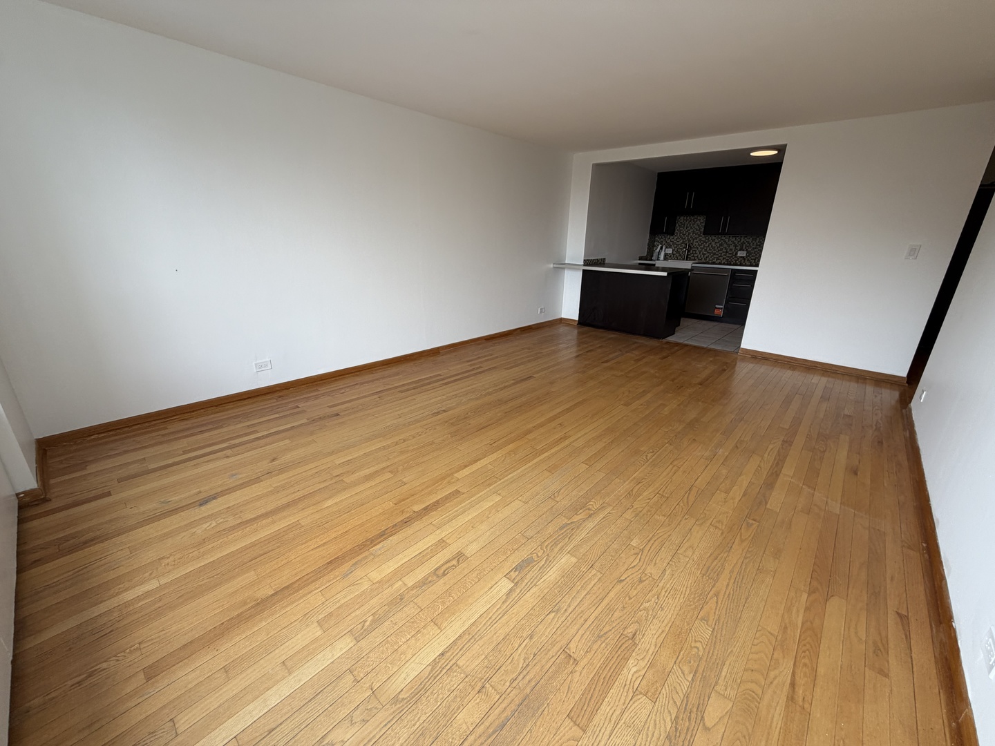 3930 N Pine Grove Avenue 604 Property Photo 3