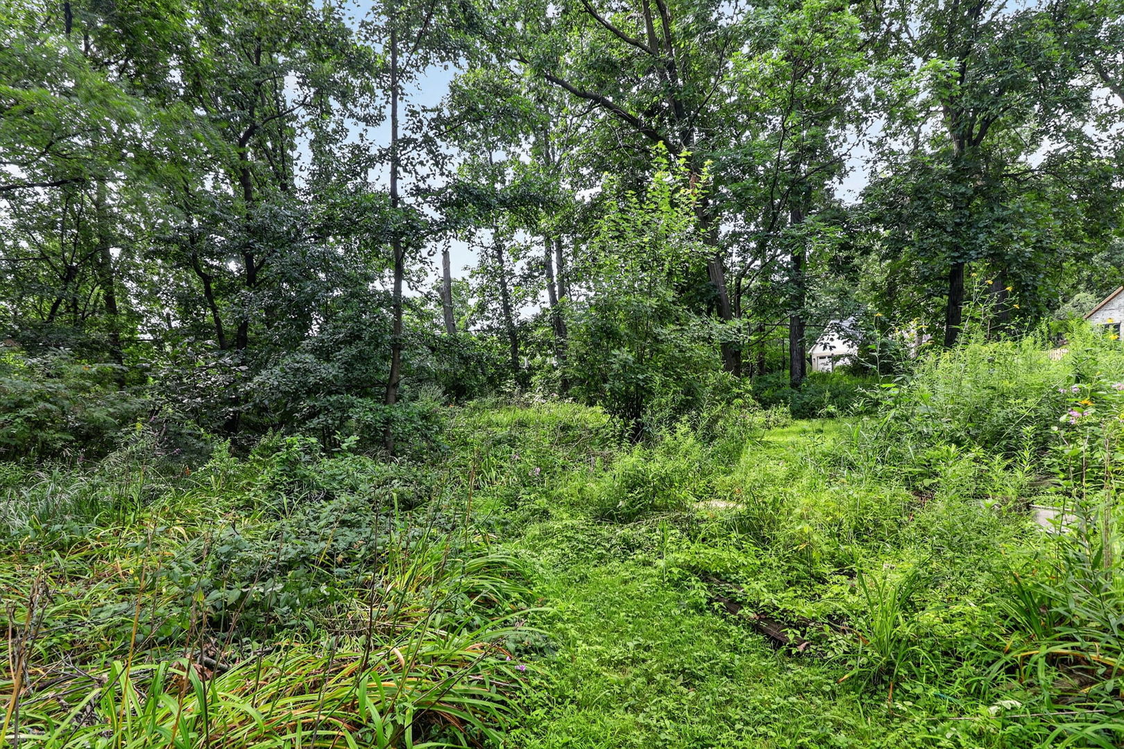 3700 Douglas Road Property Photo 39