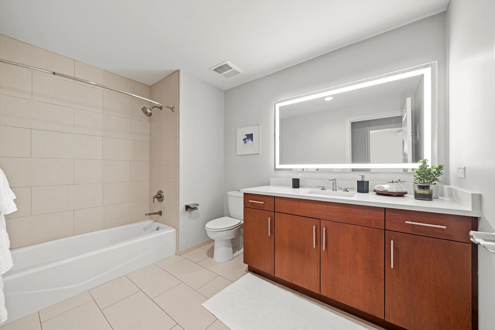 850 N Lake Shore Drive 1306 Property Photo 18