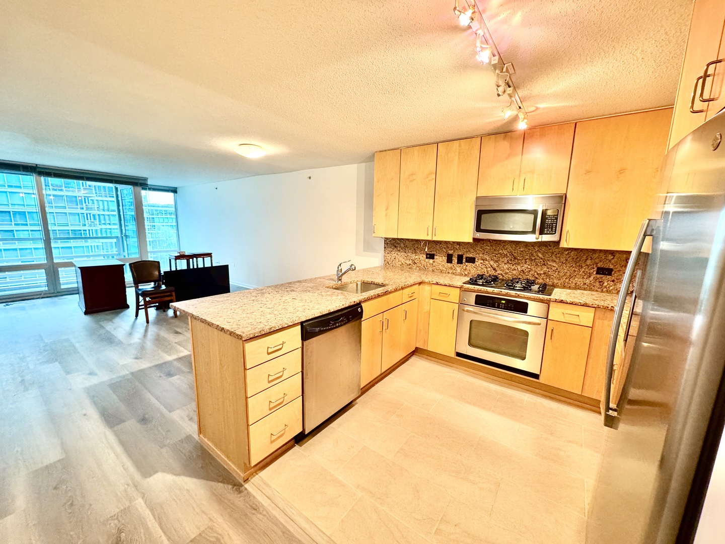 9725 Woods Drive 707 Property Photo 4