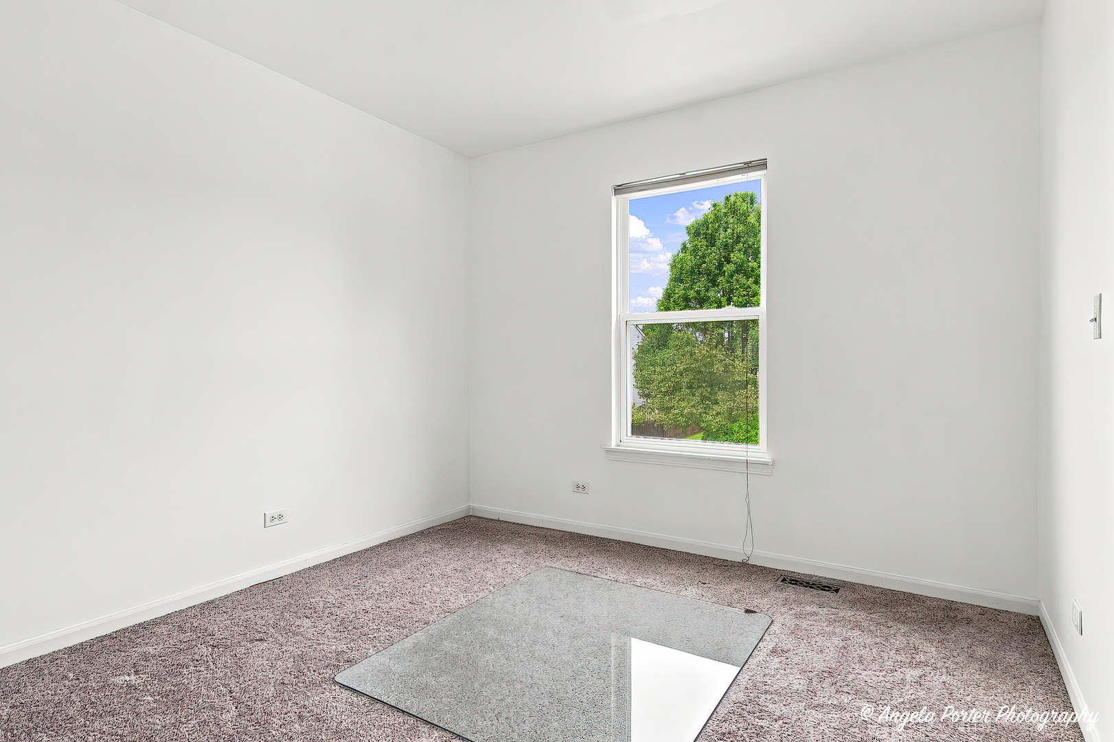 10570 Wing Pointe Drive Property Photo 23