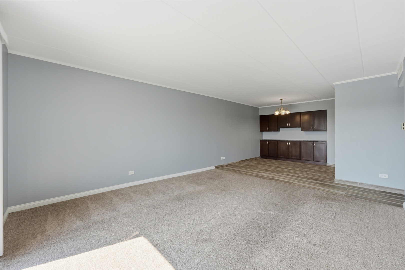 220 S Roselle Road 524 Property Photo 15
