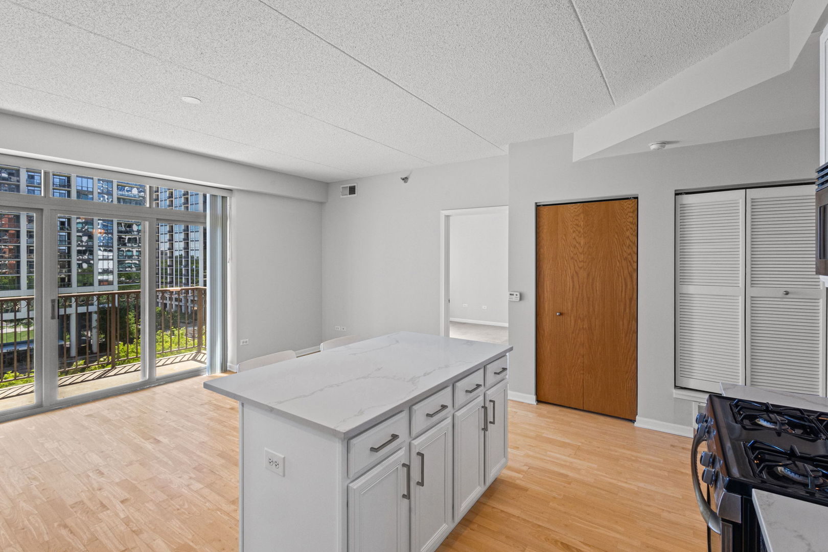1250 S Indiana Avenue 704 Property Photo 12