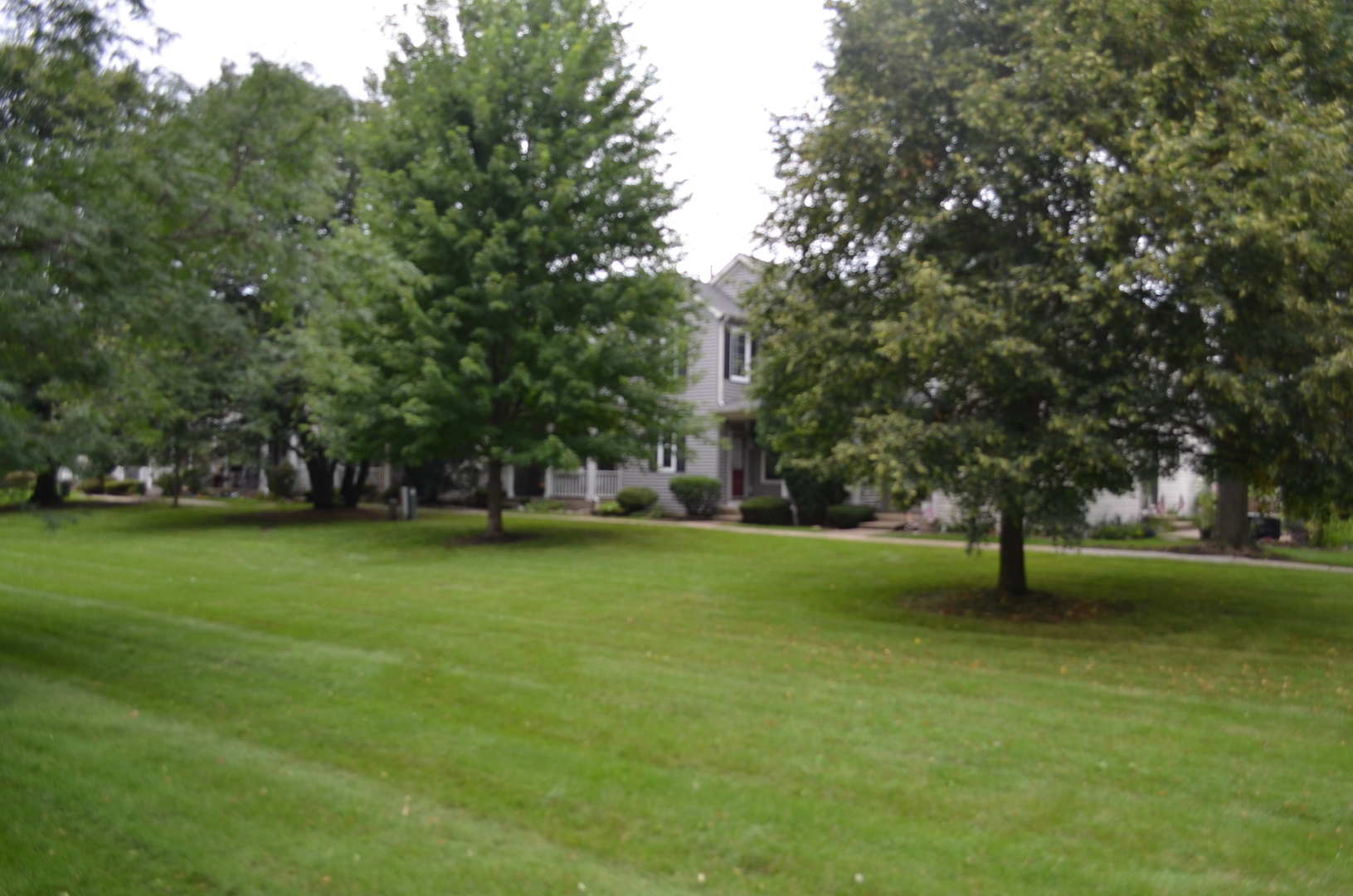 2345 Woodhill Court Property Photo 4