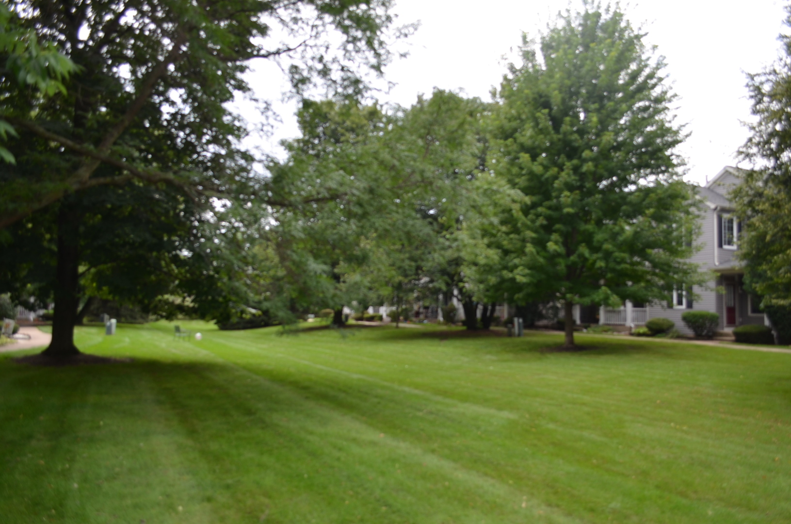 2345 Woodhill Court Property Photo 5