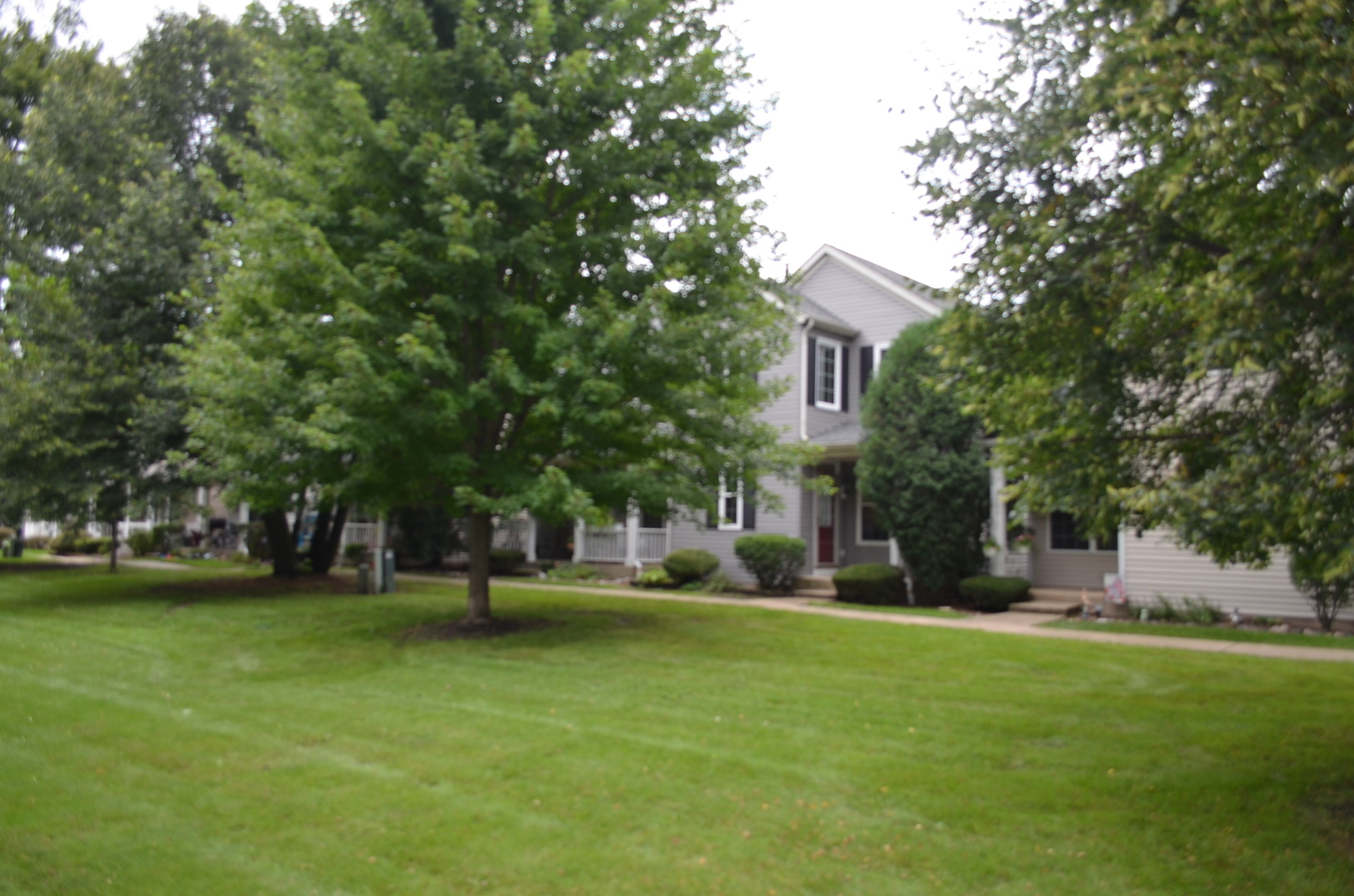 2345 Woodhill Court Property Photo 6