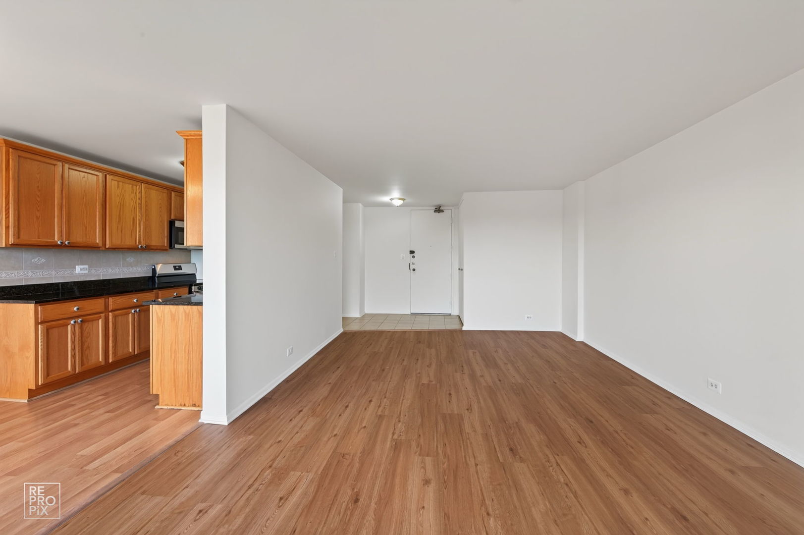 7141 N Kedzie Avenue 910 Property Photo 3