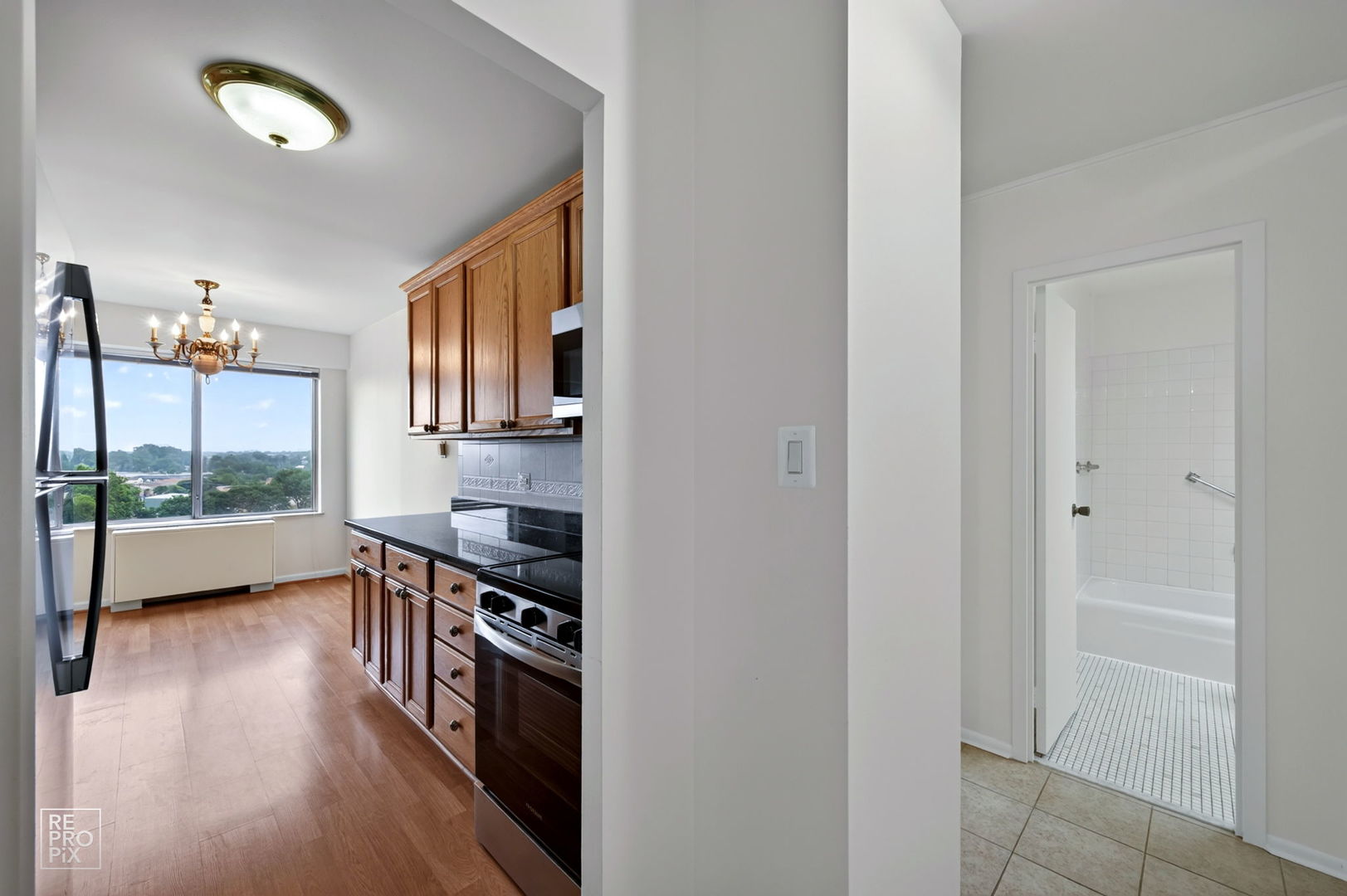 7141 N Kedzie Avenue 910 Property Photo 5