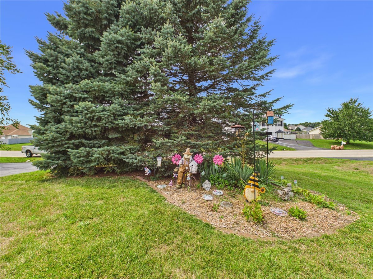 11255 Valerian Way Property Photo 38